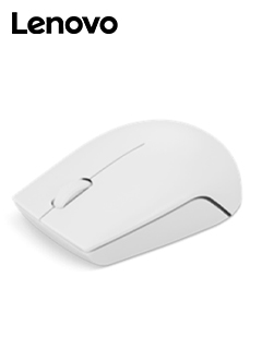 Mouse Inalambrico Compacto Lenovo 300, Color Gris Artico